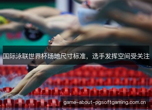 国际泳联世界杯场地尺寸标准，选手发挥空间受关注
